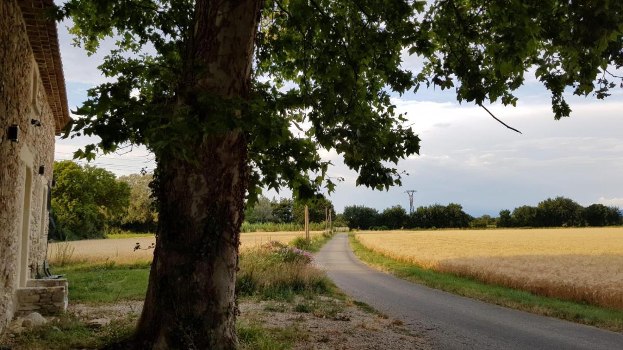Maison Au Calme En Campagne Climatisee Caderousse Экстерьер фото