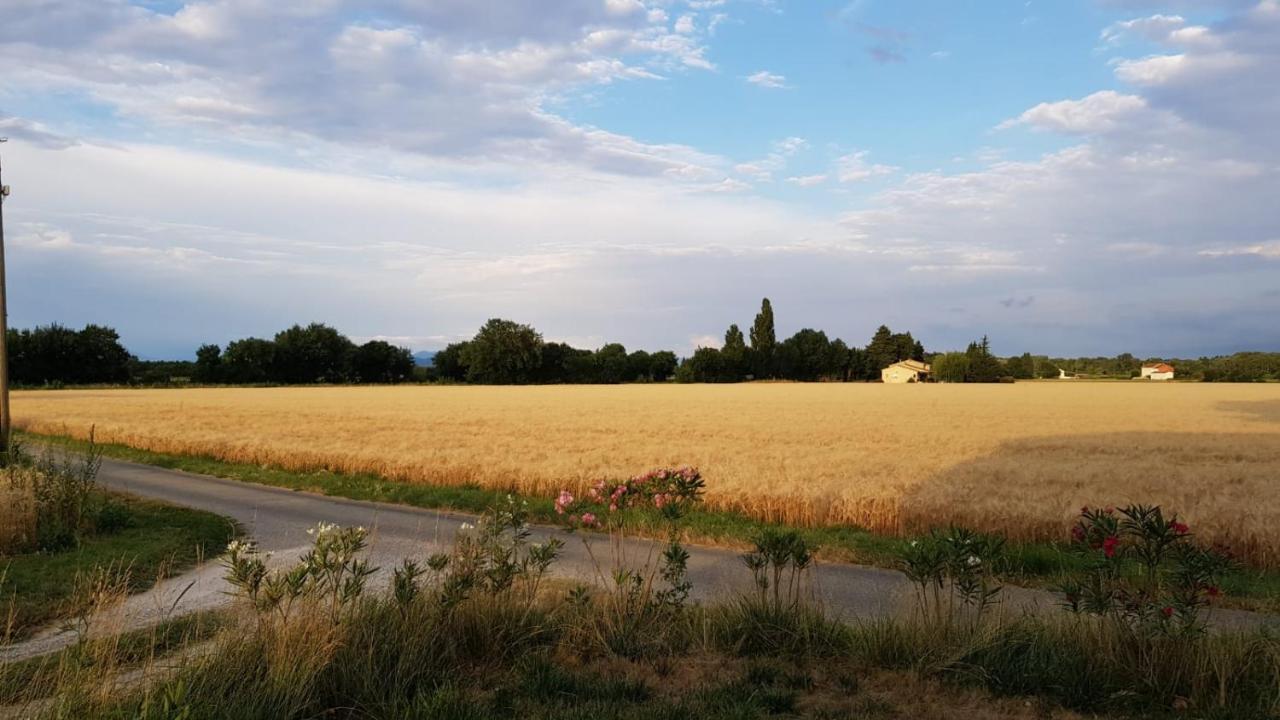 Maison Au Calme En Campagne Climatisee Caderousse Экстерьер фото